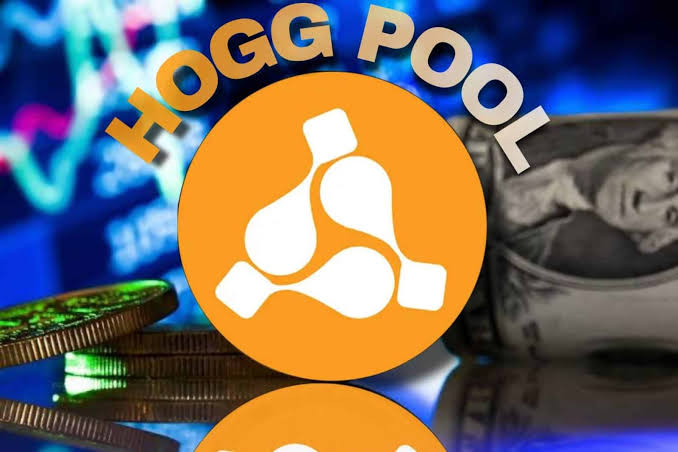 شعار تطبيق هوج بول